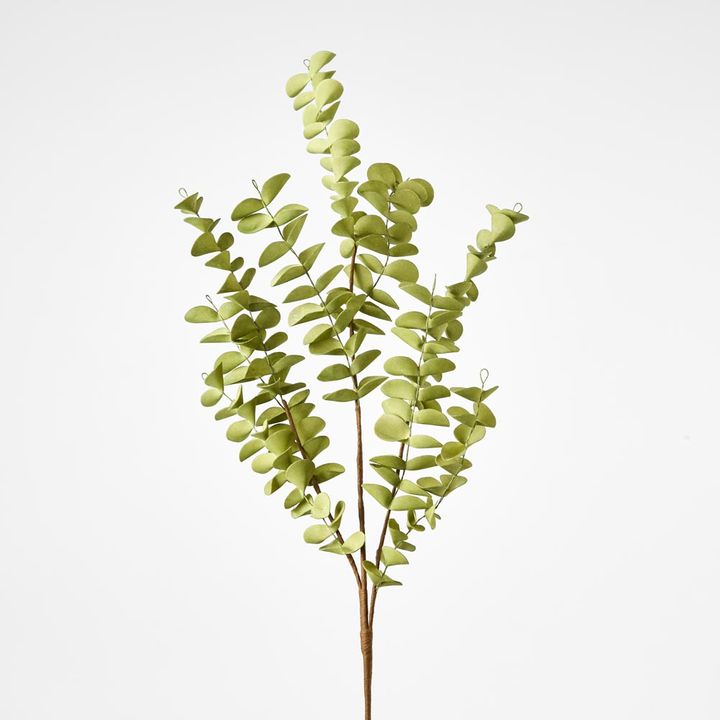 Eucalyptus Stem Light Green