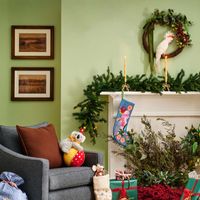 Carnival Koala on Circus Platform