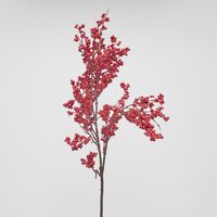 Berry Cluster Stem Red