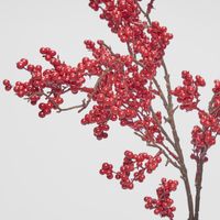 Berry Cluster Stem Red