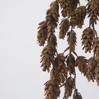 Hanging Pinecone Spray