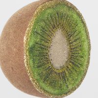 Sugared Kiwi Fruit Tree Decoration