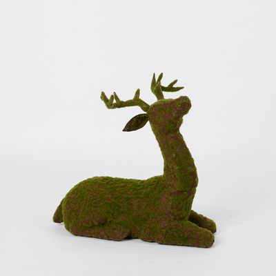 Storm Moss Sitting Reindeer