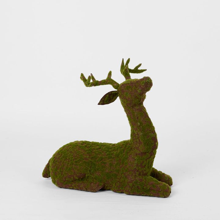 Storm Moss Sitting Reindeer