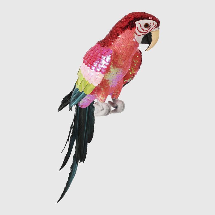 Majestic Stardust Parrot Large