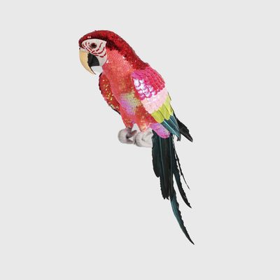 Majestic Stardust Parrot Small