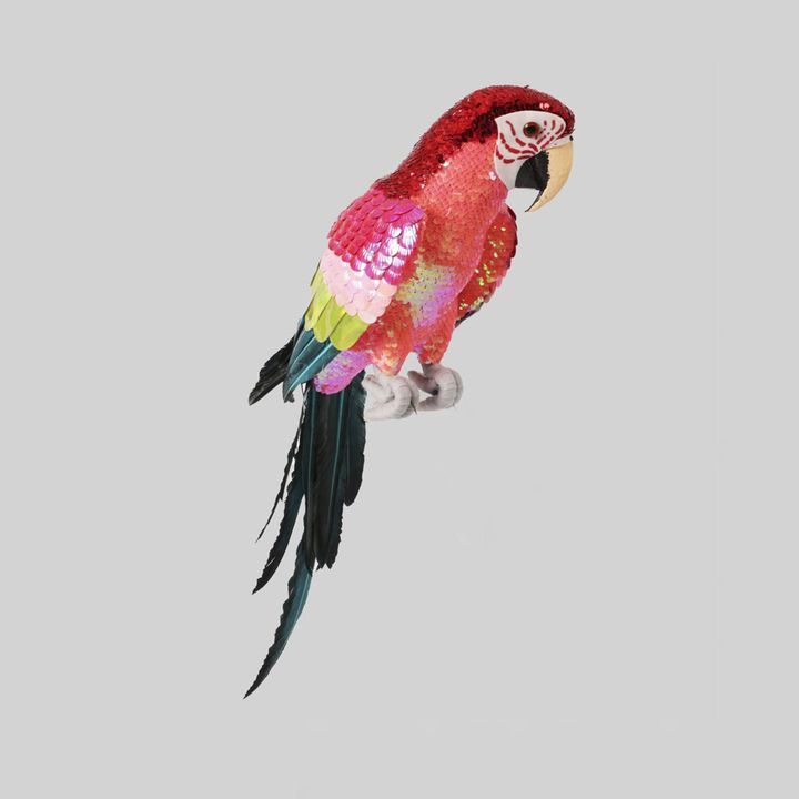 Majestic Stardust Parrot Small