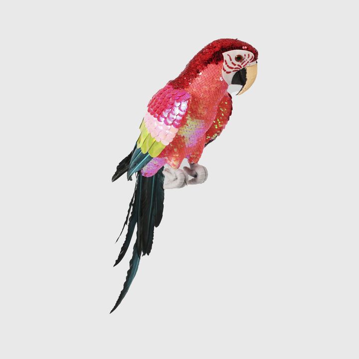 Majestic Stardust Parrot Small