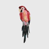 Majestic Stardust Parrot Small