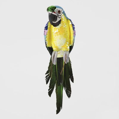 Azure Yellow Belly Parrot Small