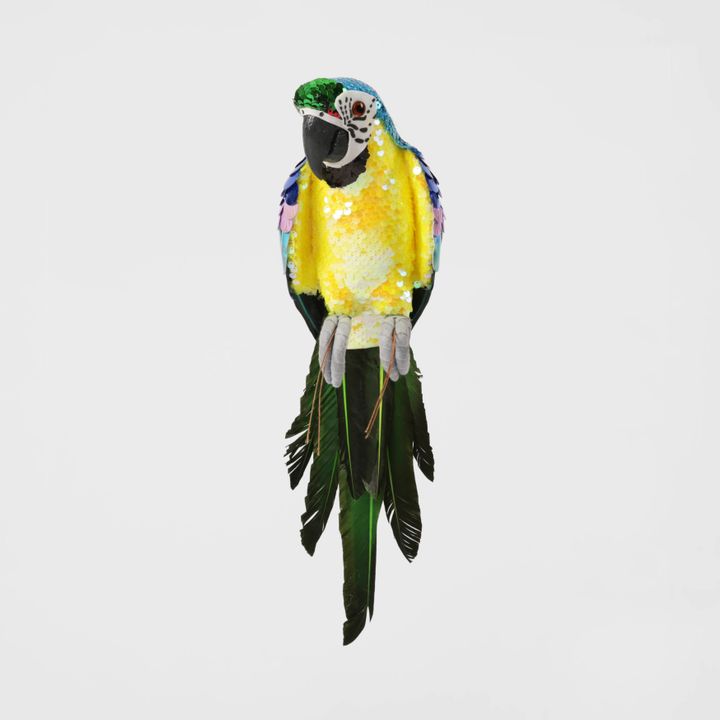 Azure Yellow Belly Parrot Small