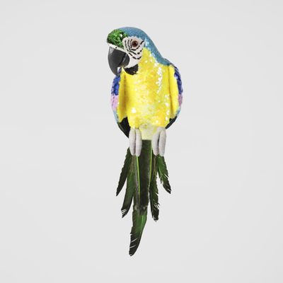 Azure Yellow Belly Parrot Large