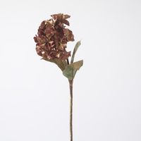 Gilded Hydrangea Stem Bronze