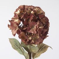 Gilded Hydrangea Stem Bronze