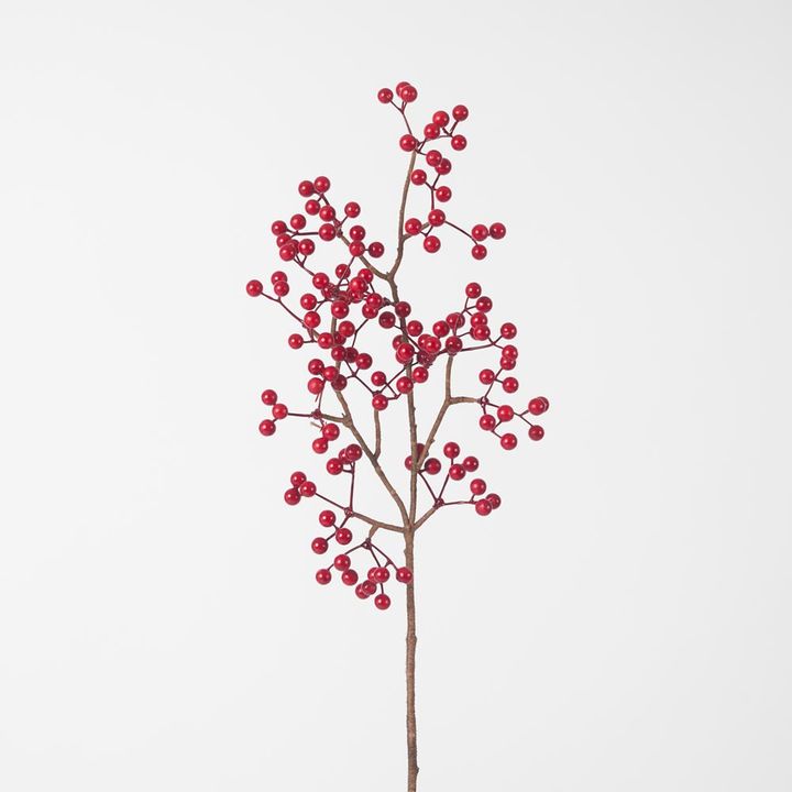 Red Berry Stem