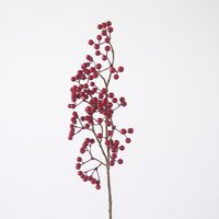 Red Berry Stem