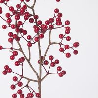 Red Berry Stem