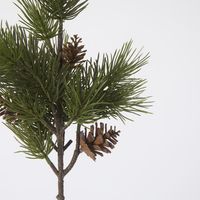 Pine Cone Stem