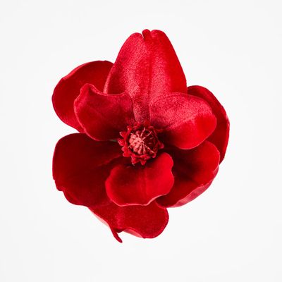 Luxe Velvet Clip On Magnolia Small Red