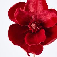 Luxe Velvet Clip On Magnolia Small Red