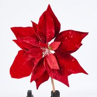 Luxe Velvet Poinsettia Clip on w. Light Up Stamen Red