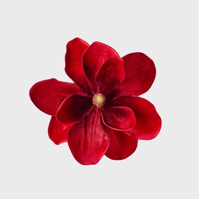 Luxe Velvet Clip On Magnolia Large Red