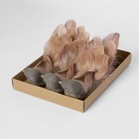 Melvin Clip on Bird Set of 3 Brown