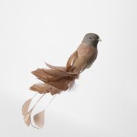 Melvin Clip on Bird Set of 3 Brown