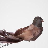 Melvin Clip on Bird Set of 3 Dark Brown