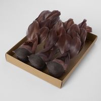 Melvin Clip on Bird Set of 3 Dark Brown