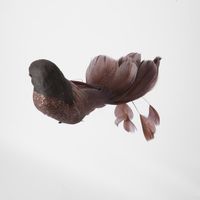 Melvin Clip on Bird Set of 3 Dark Brown