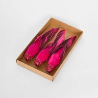 Flairine Clip on Bird Set of 3 Fuchsia