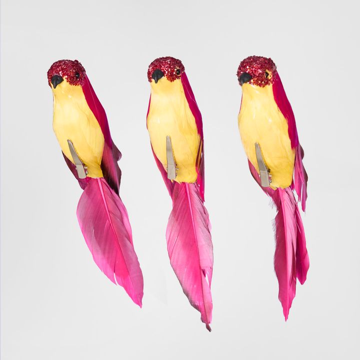 Flairine Clip on Bird Set of 3 Fuchsia