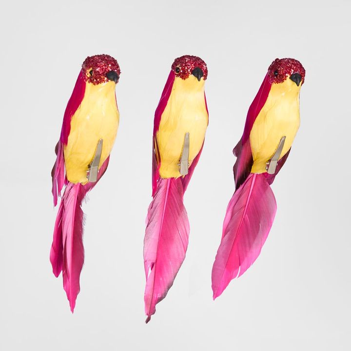 Flairine Clip on Bird Set of 3 Fuchsia