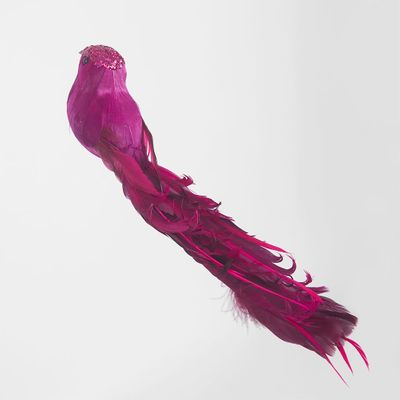 Ellou Clip on Bird Set of 6 Fuchsia