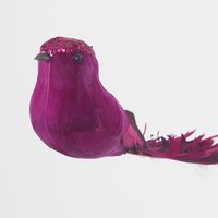 Ellou Clip on Bird Set of 6 Fuchsia