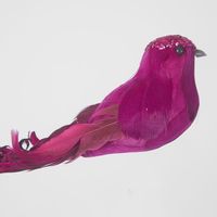 Ellou Clip on Bird Set of 6 Fuchsia