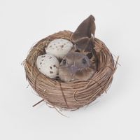 Springtime Nest Pack of 6