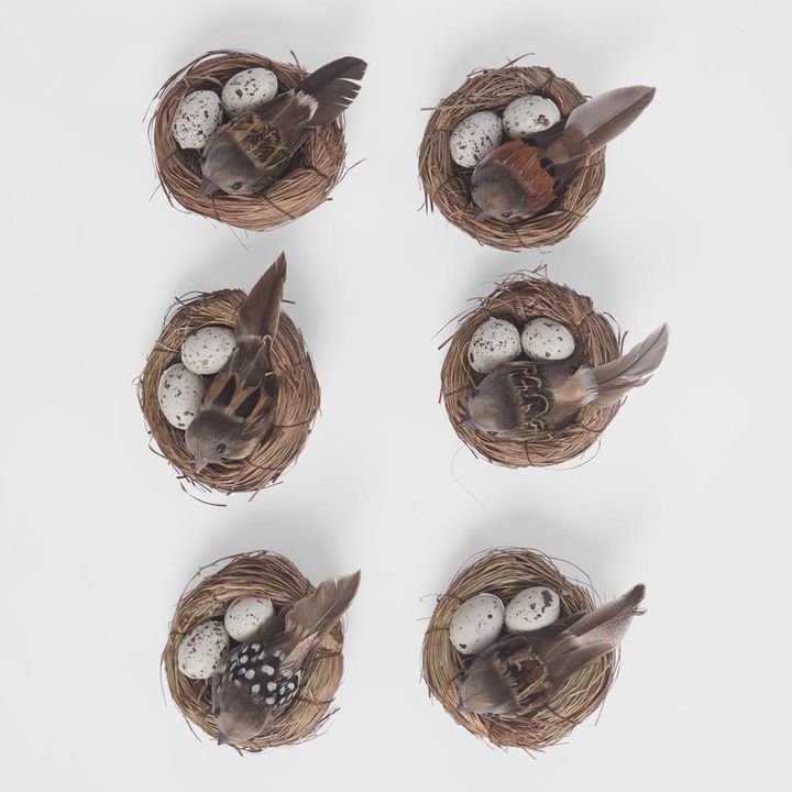 Springtime Nest Pack of 6