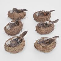 Springtime Nest Pack of 6