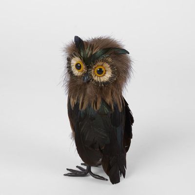 Vixen Owl Small