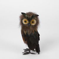 Vixen Owl Small