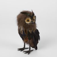 Vixen Owl Small