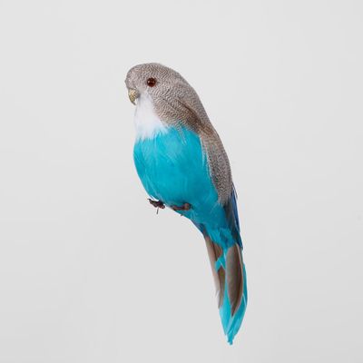 Glitter Beak Budgie Blue