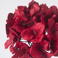 Opulence Velvet Hydrangea Flower Clip On Red