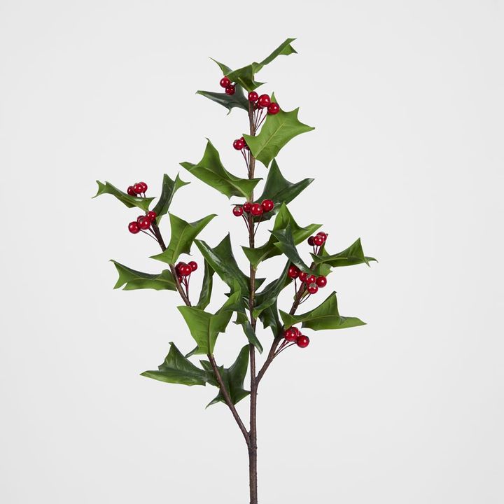 Hedgerow Holly Stem