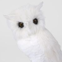 Oscar White Owl