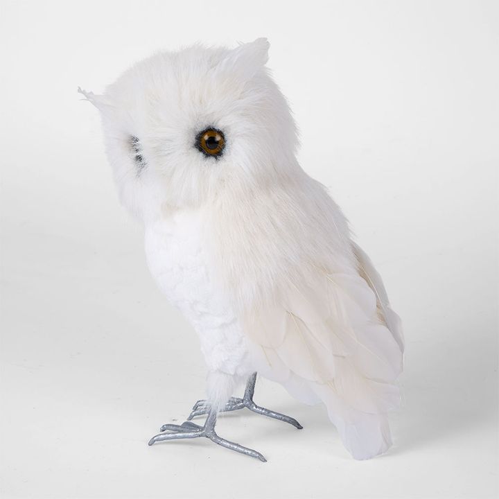 Oscar White Owl