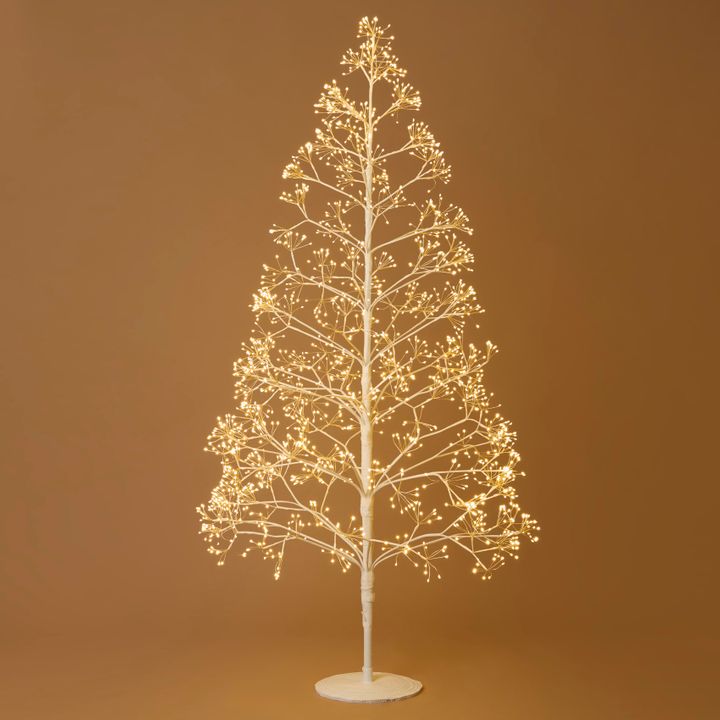 Bare Forest Tree with 210cm 3000 LED White