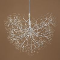 Bare Forest Ball 70cm with 2050 LED White